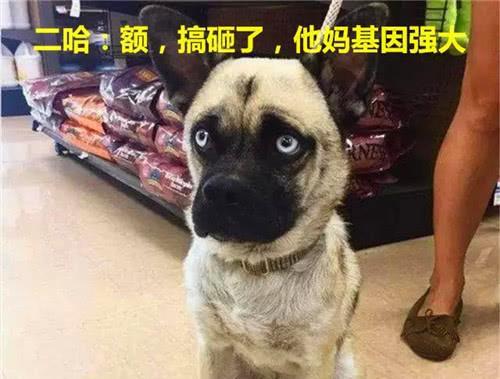 巴哥爆料新世界视频播放,新世界视频播放背后的秘密 第1张 巴哥爆料新世界视频播放,新世界视频播放背后的秘密 第1张