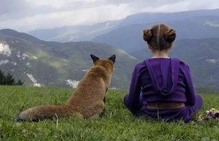 夏天的狐狸在线观看,在线重温经典动画 第2张 夏天的狐狸在线观看,在线重温经典动画 第2张