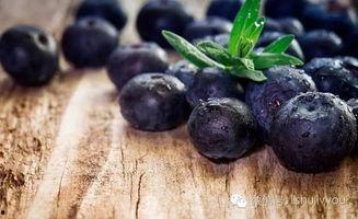 蓝莓被爆料视频大全,揭秘神秘事件背后的真相 第2张 蓝莓被爆料视频大全,揭秘神秘事件背后的真相 第2张