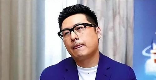 王岳伦爆料娱乐圈视频,独家视频曝光惊人真相